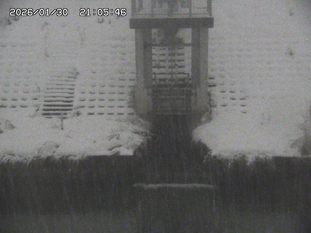 取得できませんでした