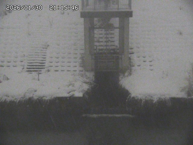 取得できませんでした