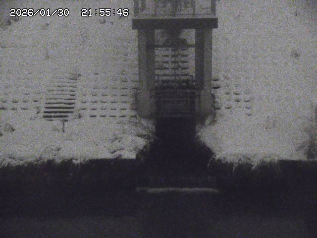 取得できませんでした