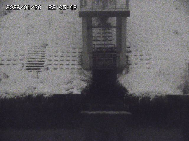 取得できませんでした