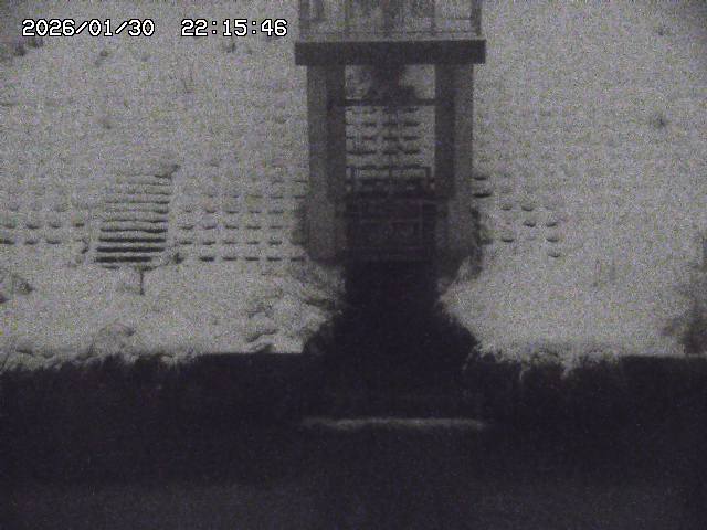 取得できませんでした