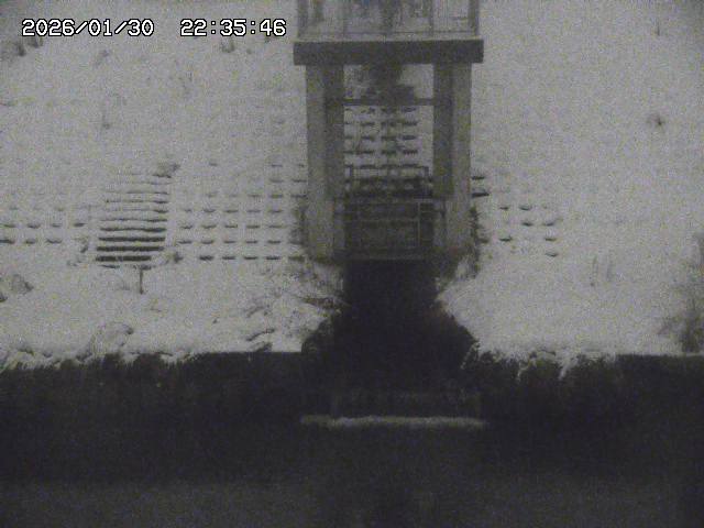 取得できませんでした