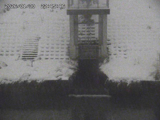 取得できませんでした