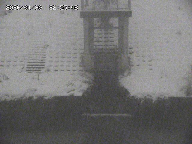 取得できませんでした