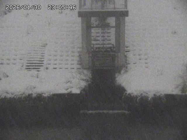 取得できませんでした