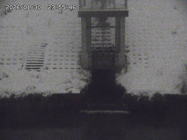 取得できませんでした