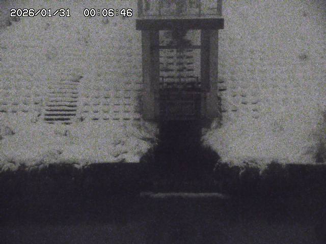 取得できませんでした