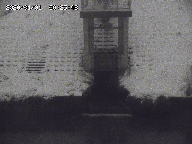 取得できませんでした