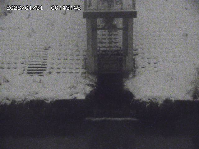 取得できませんでした