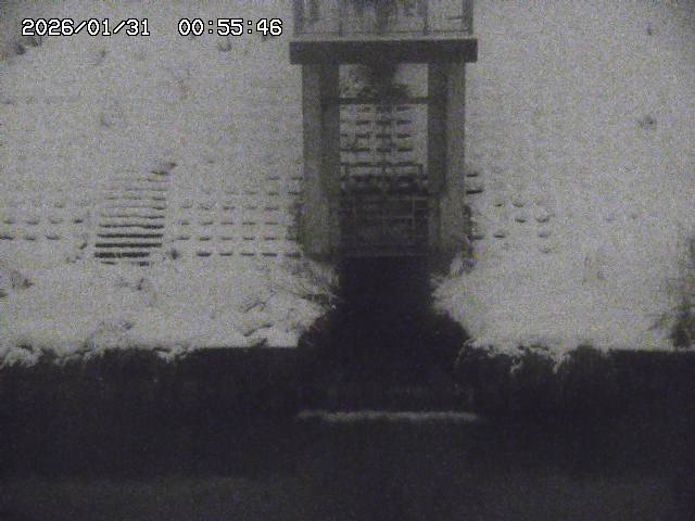 取得できませんでした