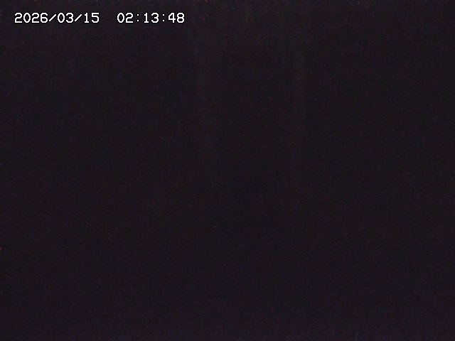 取得できませんでした