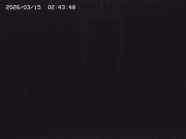 取得できませんでした