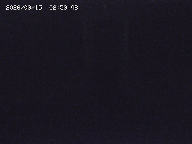 取得できませんでした