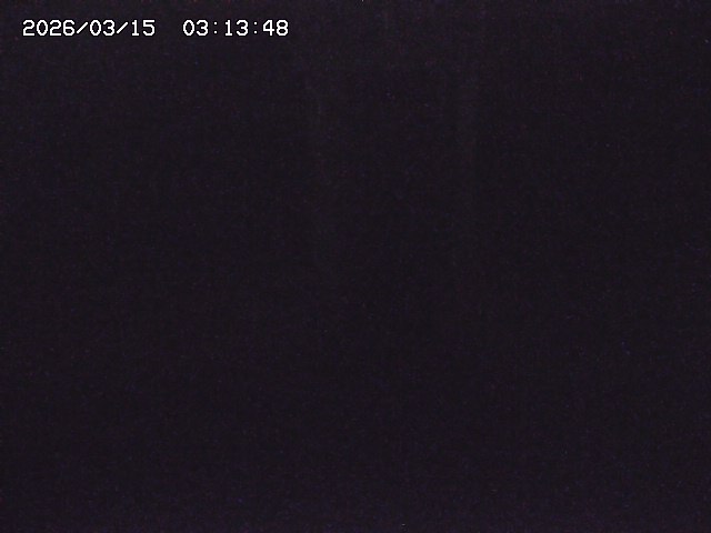 取得できませんでした