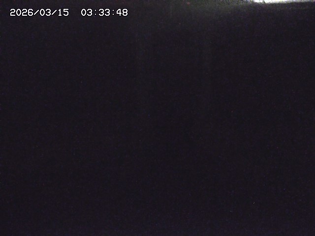 取得できませんでした