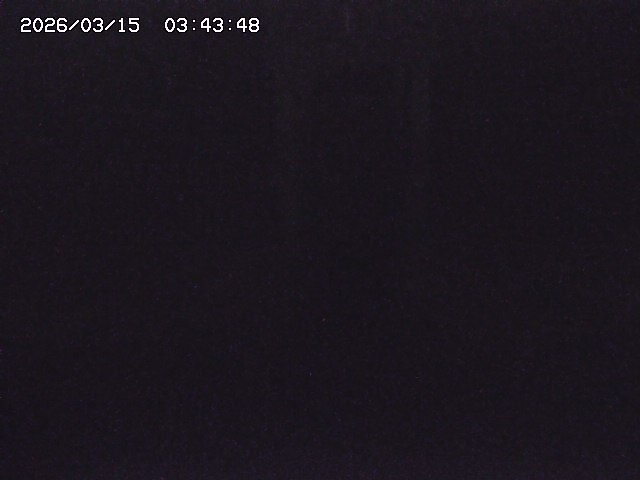 取得できませんでした