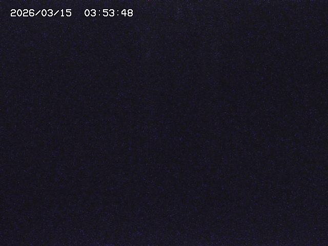 取得できませんでした