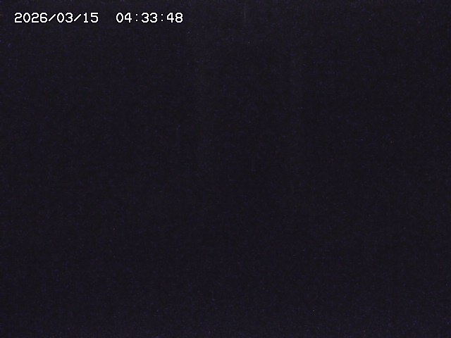 取得できませんでした