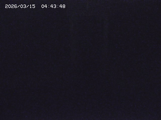 取得できませんでした