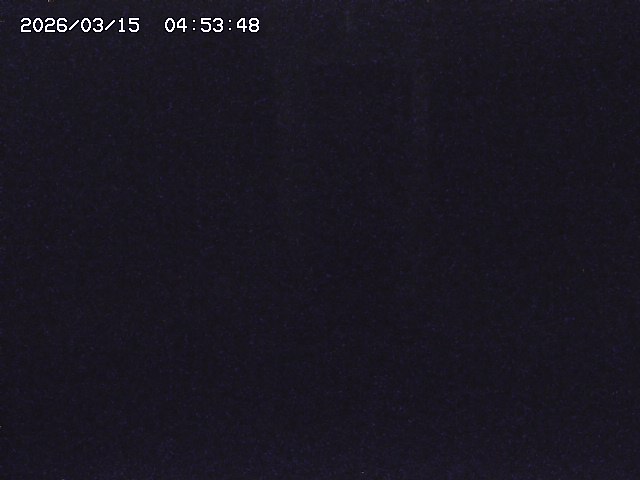 取得できませんでした