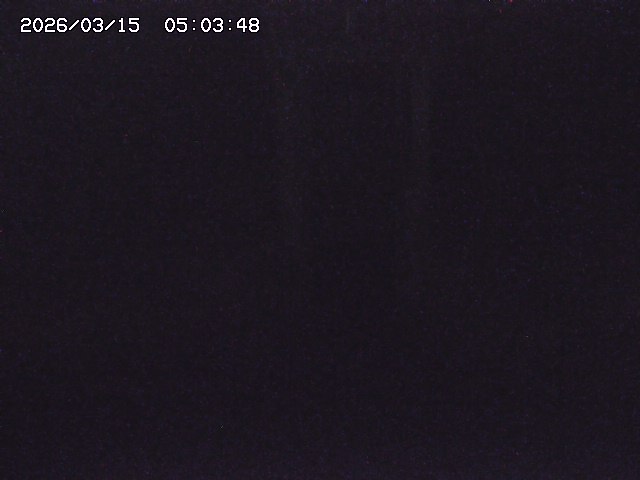 取得できませんでした