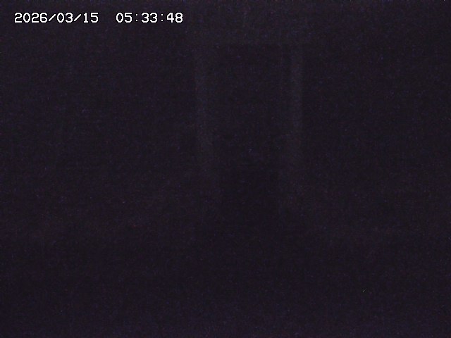 取得できませんでした