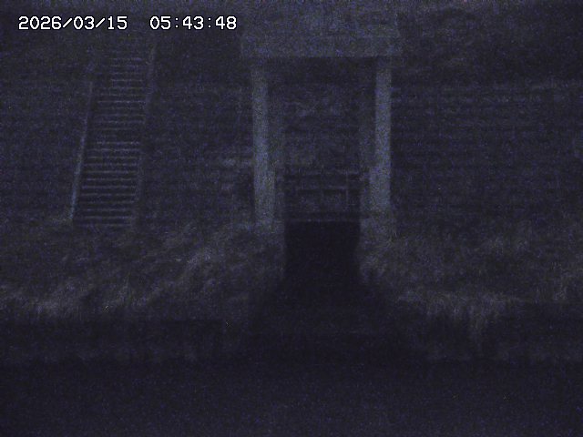 取得できませんでした