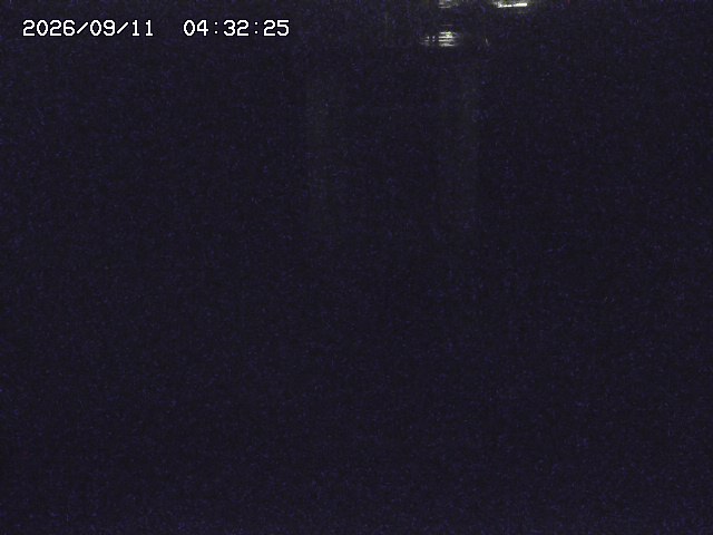 取得できませんでした