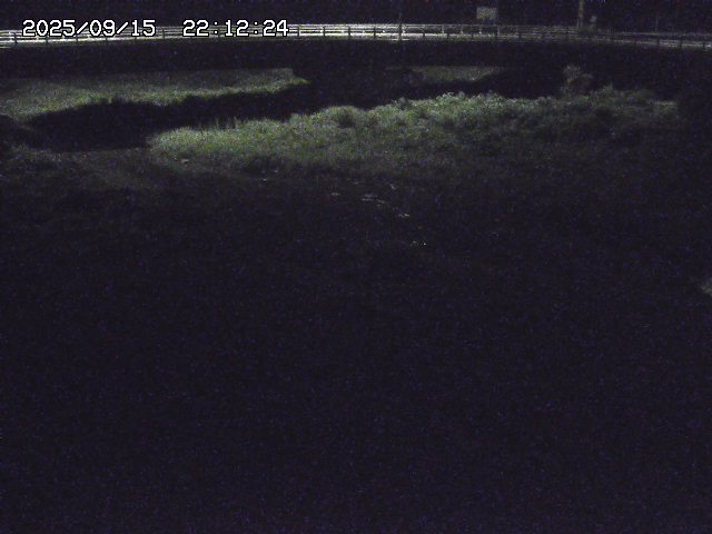 取得できませんでした
