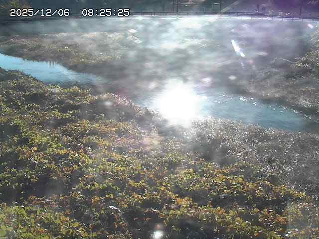 取得できませんでした