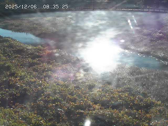 取得できませんでした