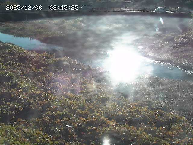 取得できませんでした