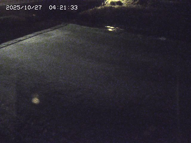 取得できませんでした