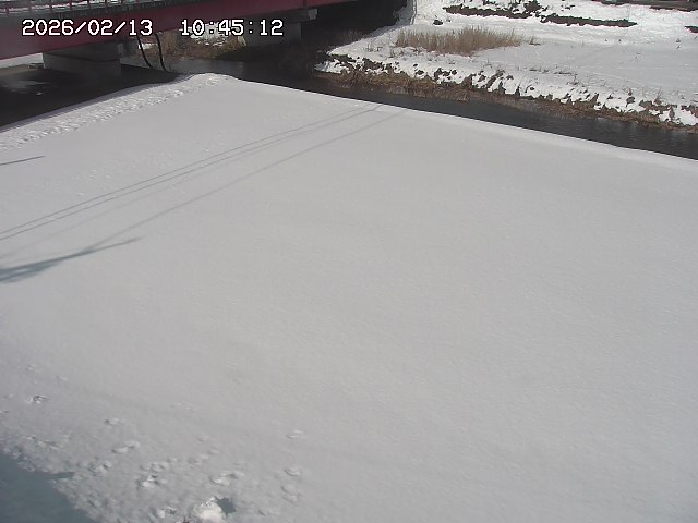 取得できませんでした