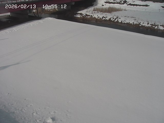 取得できませんでした