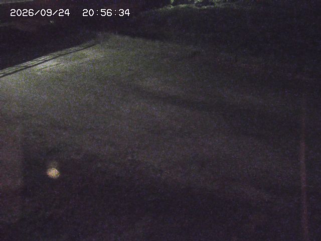 取得できませんでした
