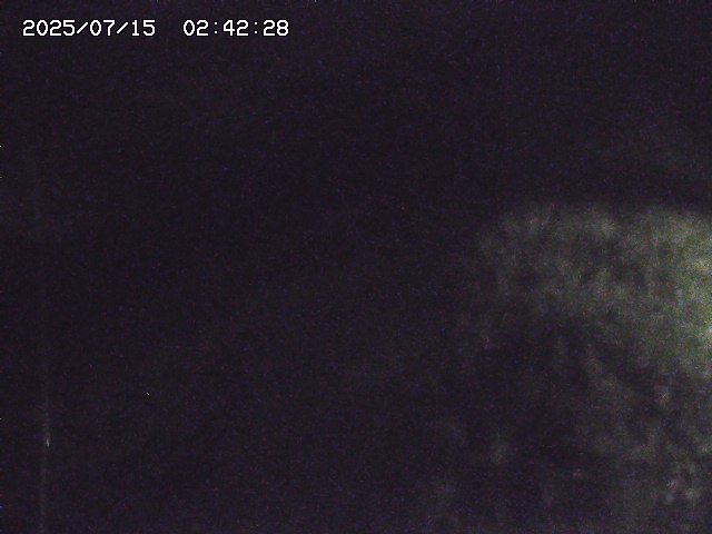 取得できませんでした