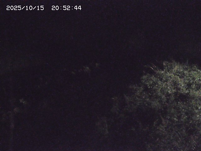 取得できませんでした