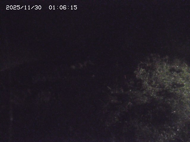 取得できませんでした