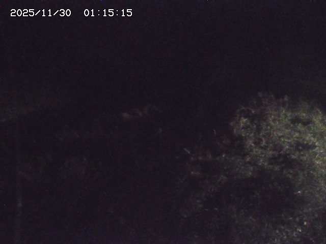 取得できませんでした