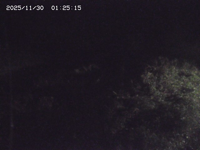 取得できませんでした