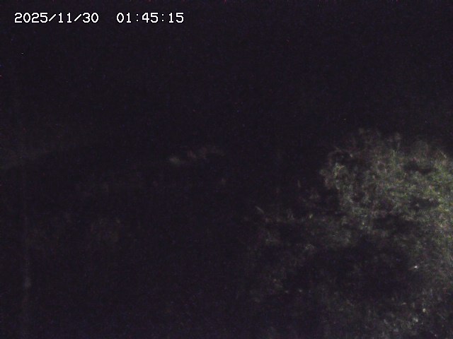 取得できませんでした