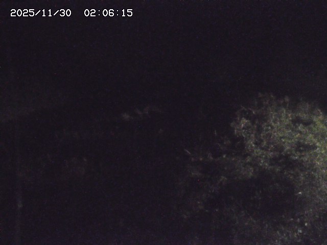 取得できませんでした