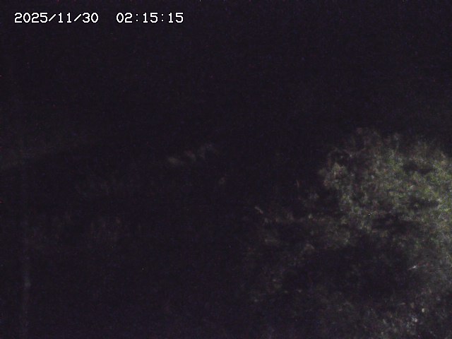 取得できませんでした