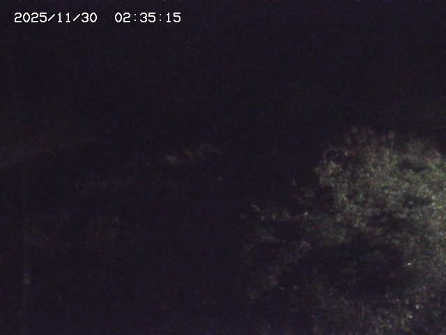 取得できませんでした