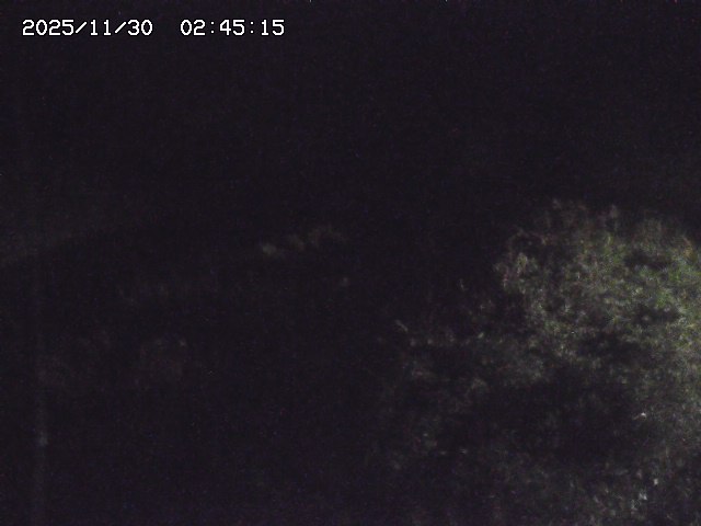 取得できませんでした