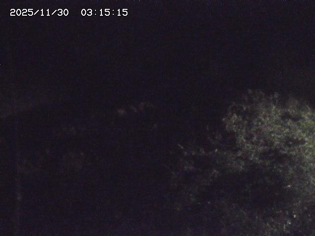 取得できませんでした