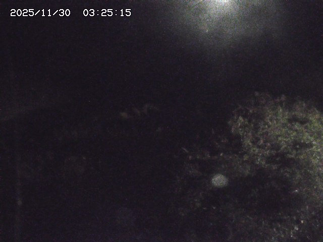 取得できませんでした