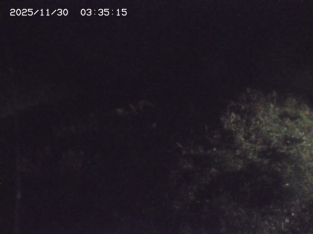 取得できませんでした