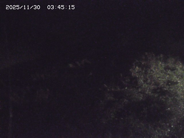 取得できませんでした